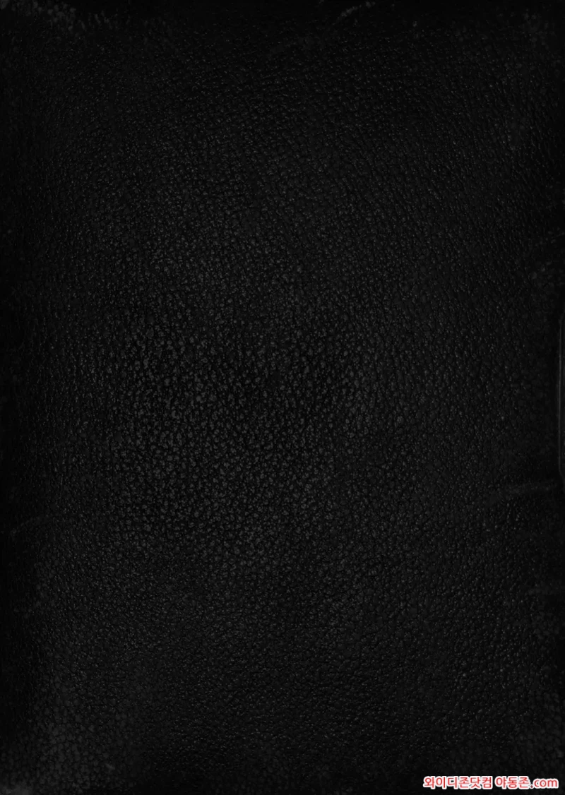 260309_023247_9XzQfye1b424b7b3af2abf695795fdab1cc1d10b3e9f22e2.webp